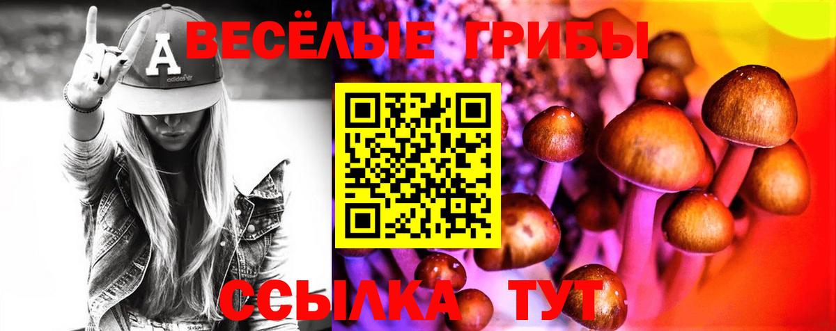 Псилоцибиновые грибы GOLDEN TEACHER Озёры