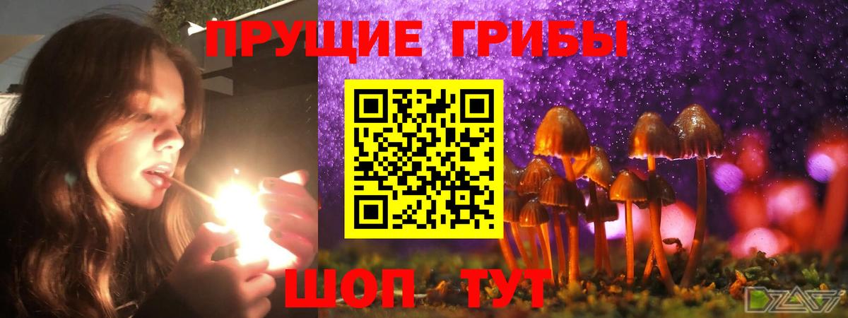 Озёры  Псилоцибиновые грибы мухоморы  Вход с VPN 