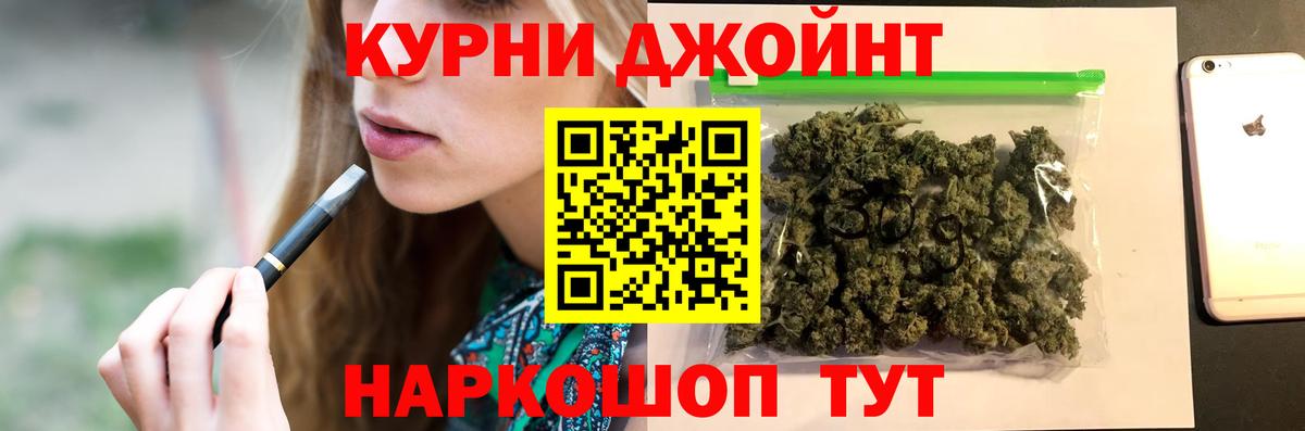 Конопля планчик Озёры